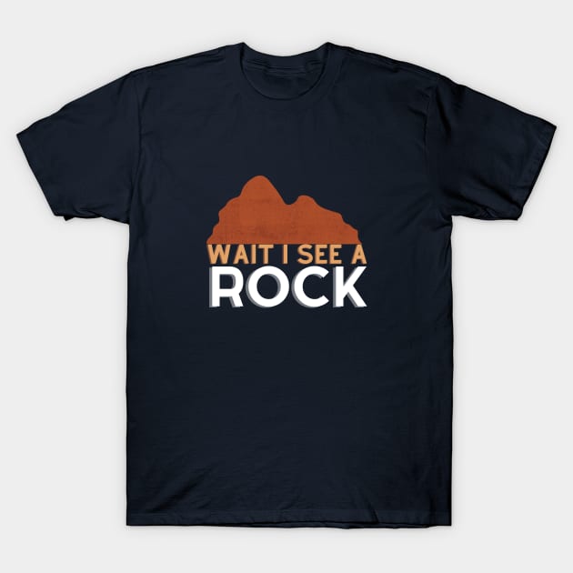 Wait I see a rock T-Shirt by GoodWills